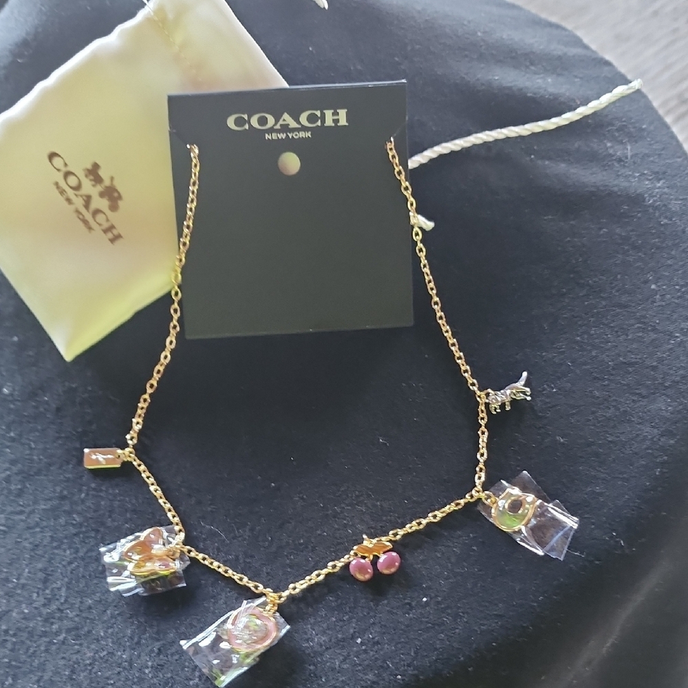 Coach Gold and Pink Charm Necklace